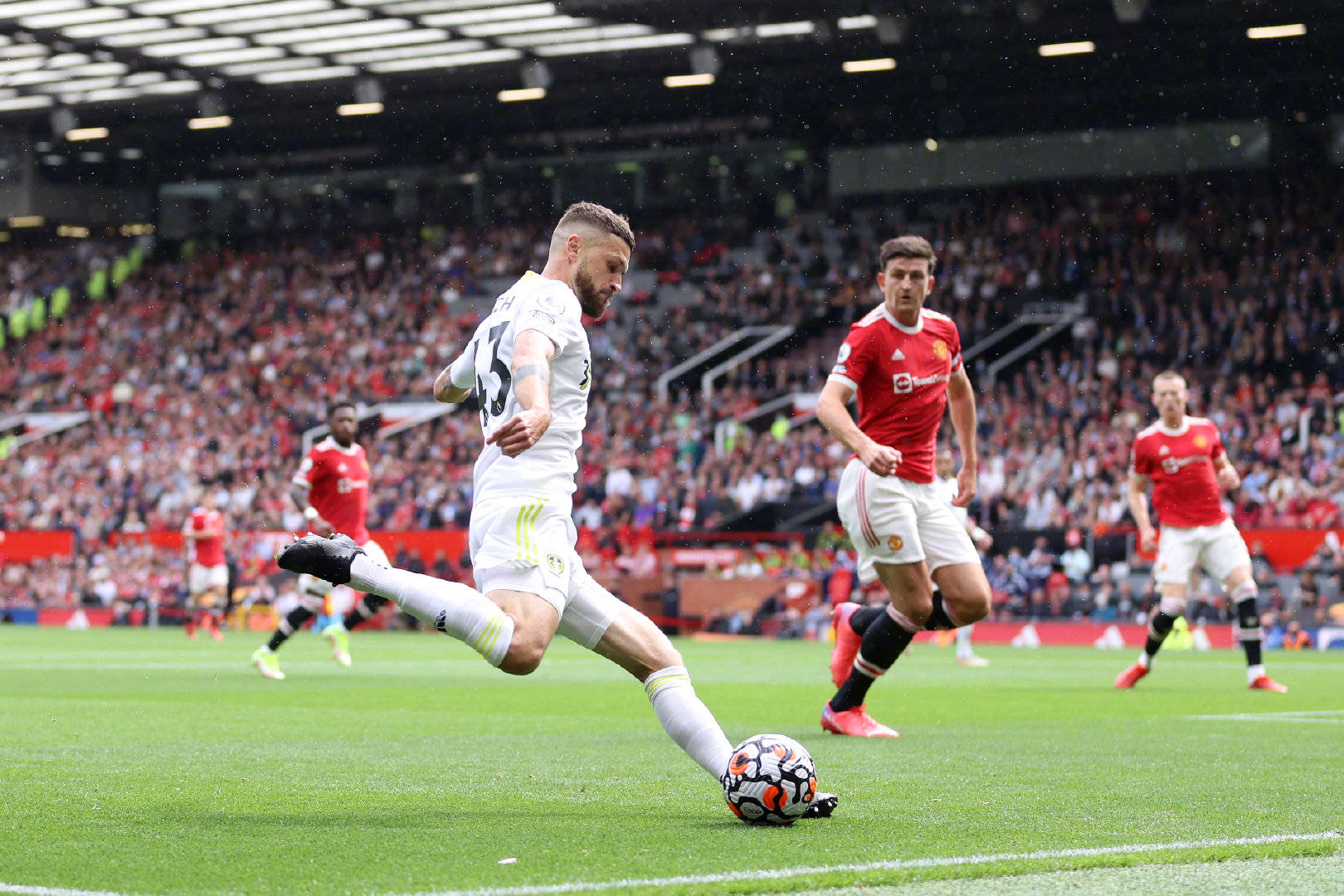 夫斯基在这 夫斯基在这